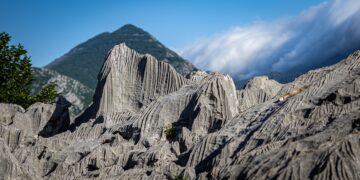 Best Travel Guides for Coastal Adventures