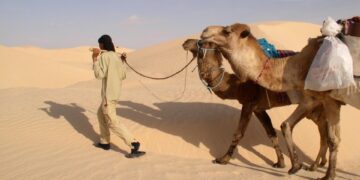 Comprehensive Guides for Tropical Island Hopping