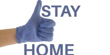 How to Stay Safe While Traveling with Pets