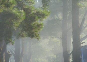 Best Travel Ideas for Luxurious Escapes