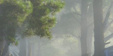 Best Travel Ideas for Luxurious Escapes