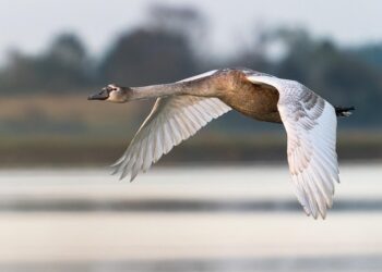 Travel Tips for Visiting Popular Tourist Attractions