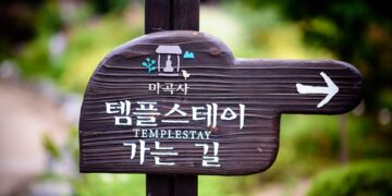 How to Stay Safe on Guided Tours