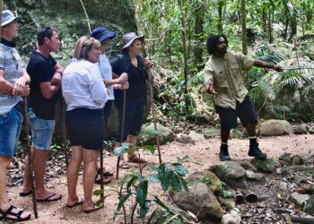 Comprehensive Guides for Subterranean Adventures