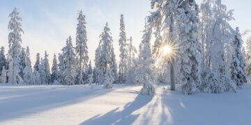 Best Winter Adventures in Remote Landscapes