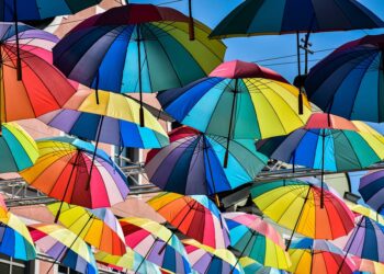 Unique Ideas for Stargazing Destinations