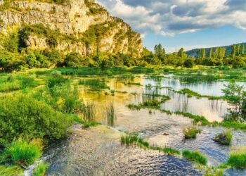 Best River Expeditions for Adventurers