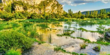 Best River Expeditions for Adventurers