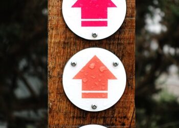 Best Guides for Iconic Seaside Destinations