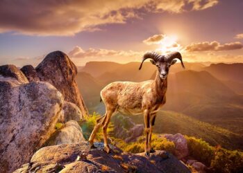 Top Tips for Safeguarding Medical Information