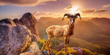 Top Tips for Safeguarding Medical Information