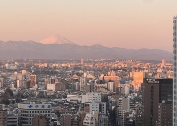 Tokyo Narita vs. Haneda: Which airport should I fly into?
