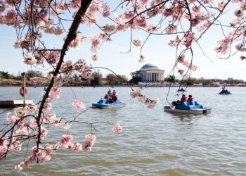 How to make the most of 1 day in Washington, DC