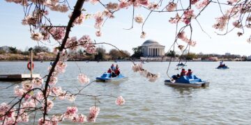 How to make the most of 1 day in Washington, DC