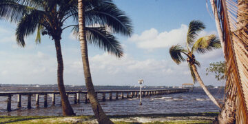 San Francisco – Fort Myers, Florida (and vice versa). 4 (Basic Economy) / 4 (Regular Economy). Roundtrip, including all Taxes – The Flight Deal