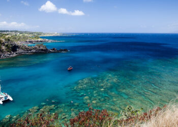 San Francisco – Maui, Hawaii (and vice versa). 7 (Basic Economy) / 7 (Regular Economy). Roundtrip, including all Taxes – The Flight Deal