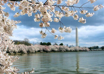 San Francisco – Washington D.C. (and vice versa). 7 (Basic Economy) / 7 (Regular Economy). Roundtrip, including all Taxes – The Flight Deal