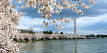 San Francisco – Washington D.C. (and vice versa). 7 (Basic Economy) / 7 (Regular Economy). Roundtrip, including all Taxes – The Flight Deal