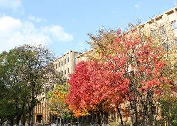 San Francisco – Sapporo, Japan. 7. Roundtrip, including all Taxes – The Flight Deal