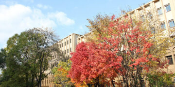 San Francisco – Sapporo, Japan. 7. Roundtrip, including all Taxes – The Flight Deal