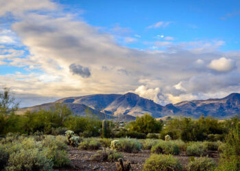 San Francisco – Phoenix, Arizona (and vice versa).  (Basic Economy) / 4 (Regular Economy). Roundtrip, including all Taxes – The Flight Deal