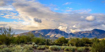 San Francisco – Phoenix, Arizona (and vice versa).  (Basic Economy) / 4 (Regular Economy). Roundtrip, including all Taxes – The Flight Deal